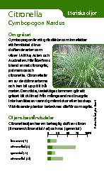 Citronella